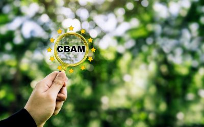 Capitalising on Green Initiatives: Opportunities in the new era of CBAM and Carbon Markets