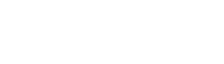 Energex Logo