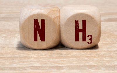 The One Big Beautiful Bill Act – Trump’s curveball for US low-carbon ammonia