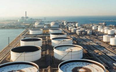 Storage Investment in a Shifting World