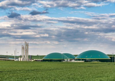 Energex’s commercial strategy review for an Estonian biomethane production platform